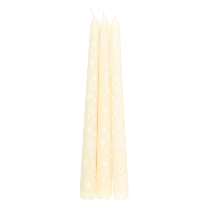 Set of 3 Carrot Patch Daisy Taper Candles