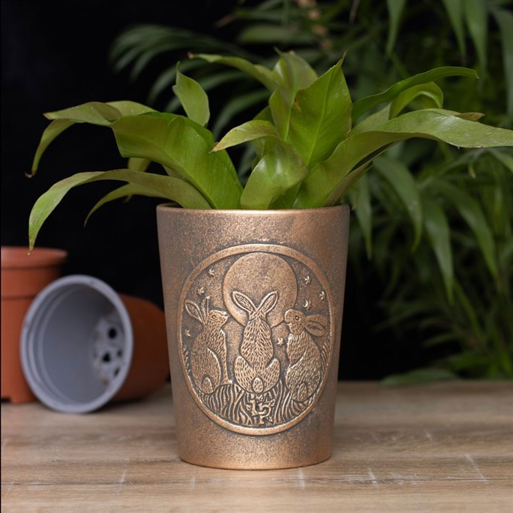 Moon Shadows Bronze Terracotta Plant Pot by Lisa Parker