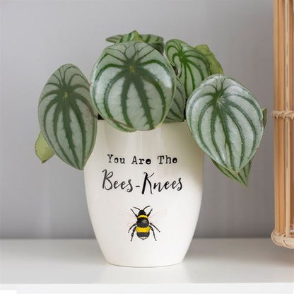 You Are the Bees Knees Ceramic Plant Pot